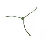 Коромысло зимнее 