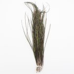 Перья павлина FLY-FISHING цв.natural 1гр.(Россия)